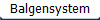 Balgensystem