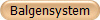 Balgensystem
